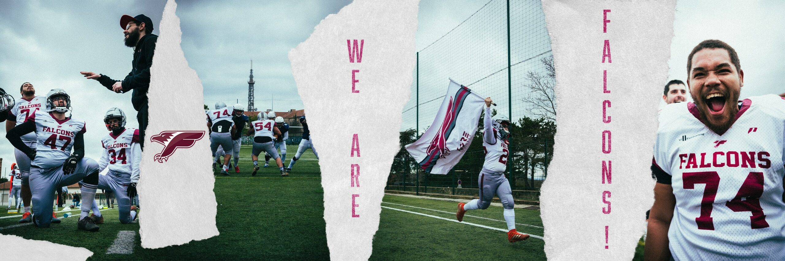 We_are_Falcons